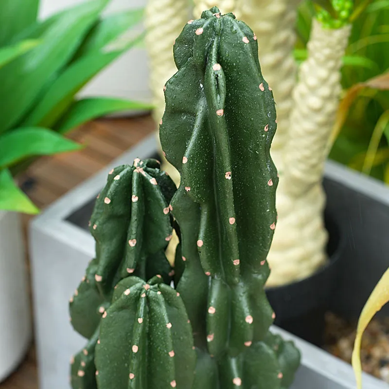A2088103 2.2ft Artificial Green Succulent Tropical Plant Cactus Home Balcony Decor Props