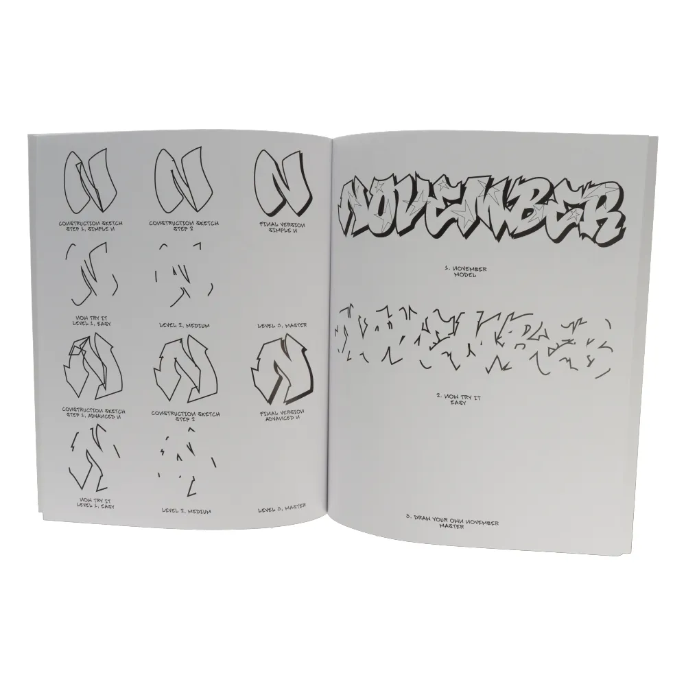 Graffiti For Beginners