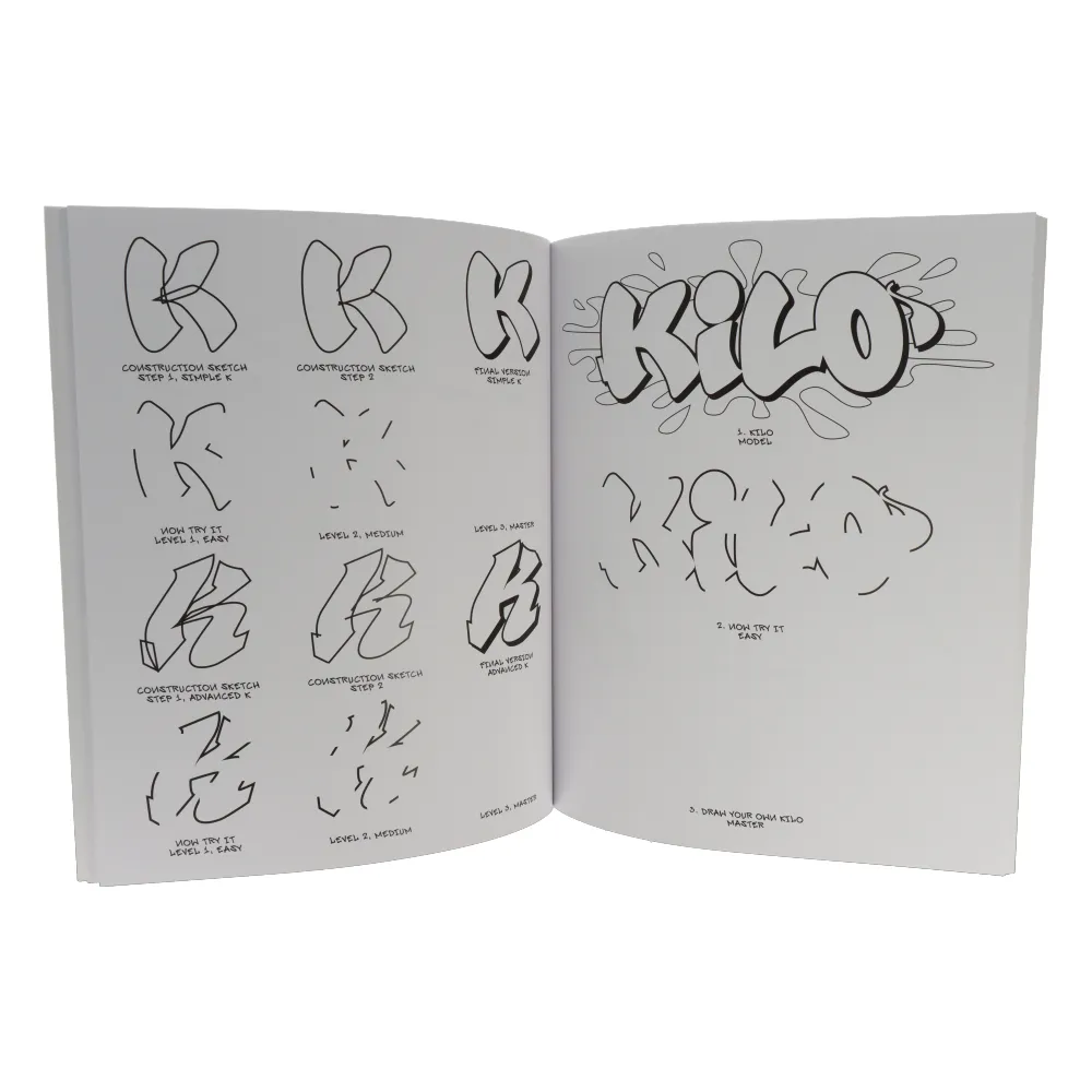 Graffiti For Beginners