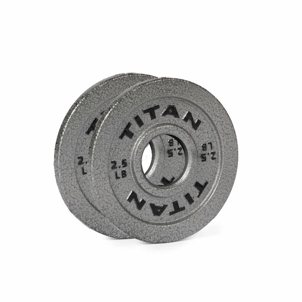 Scratch and Dent - 2.5 LB Pair Silver Series Cast Iron Olympic Plates - FINAL SALE